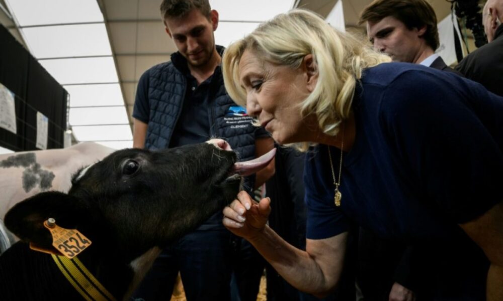 Marine Le Pen à l'élevage, entre promesses aux agriculteurs et soutien total à Bardella