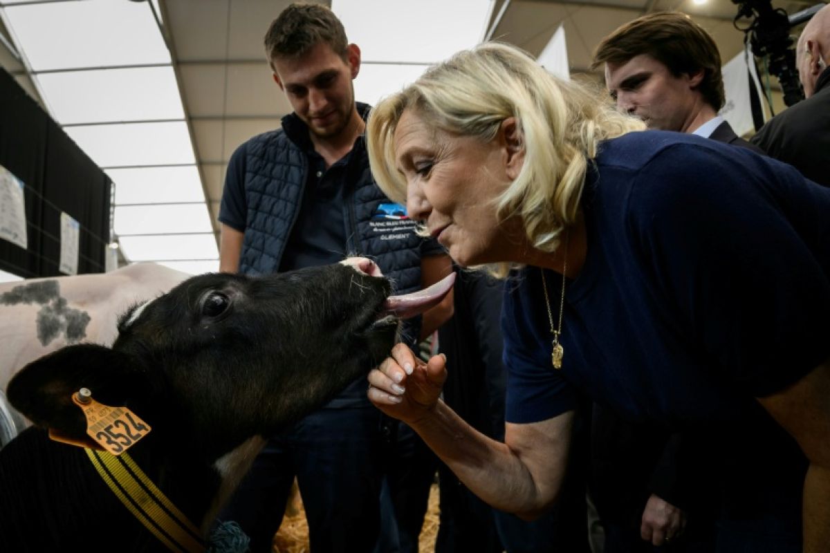 Marine Le Pen à l'élevage, entre promesses aux agriculteurs et soutien total à Bardella