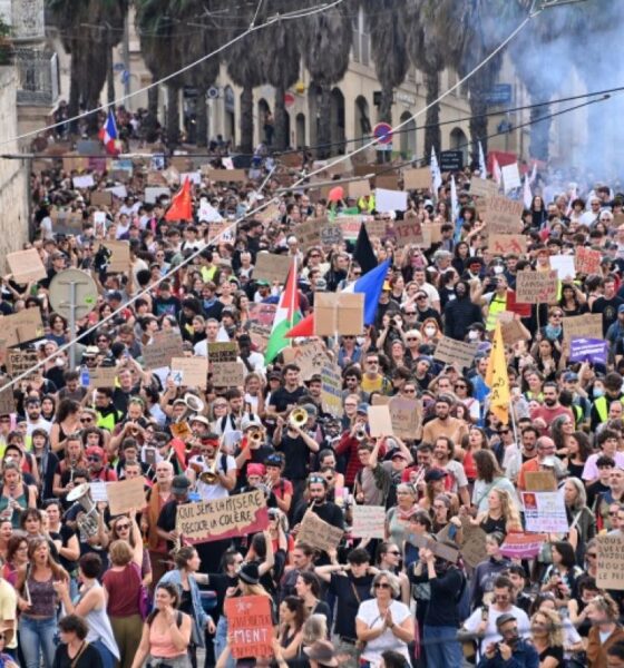 Pouvoir d'achat, Parcoursup, fiscalité, ce que les manifestants réclament vraiment