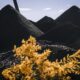 Le charbon australien bat des records juste avant que Canberra ne prenne les rênes du climat