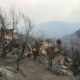 L'Algérie étend la peine capitale aux incendiaires et aux ravisseurs d'enfants