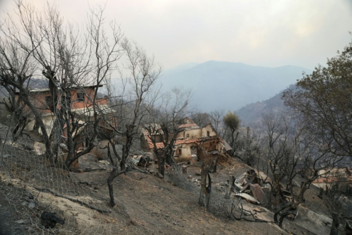 L'Algérie étend la peine capitale aux incendiaires et aux ravisseurs d'enfants
