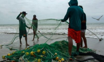 Ces pêcheurs qui rentrent les mains vides à cause d'un océan trop chaud