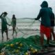 Ces pêcheurs qui rentrent les mains vides à cause d'un océan trop chaud
