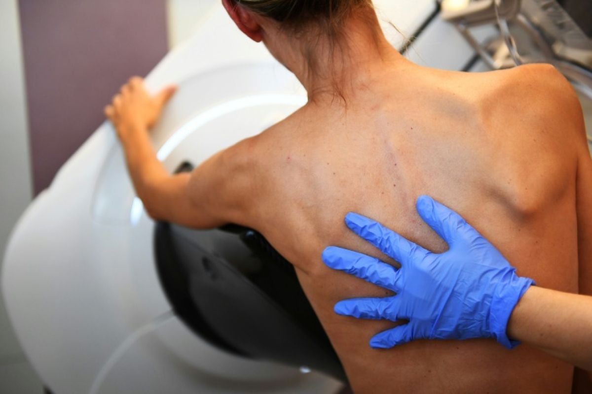 Cancer du sein au travail, cette bataille judiciaire que presque personne ne gagne