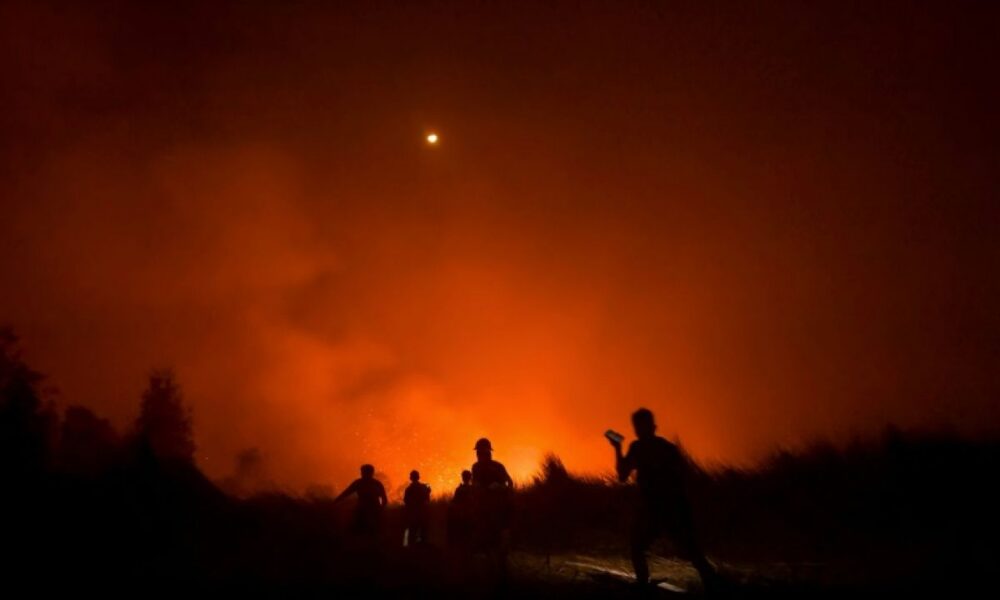 Sous les tourbières d'Indonésie, des feux qui couvent et qui étouffent toute une région