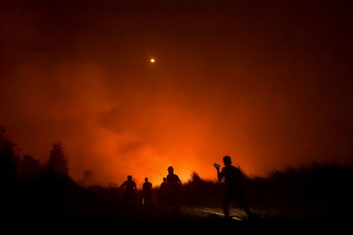 Sous les tourbières d'Indonésie, des feux qui couvent et qui étouffent toute une région