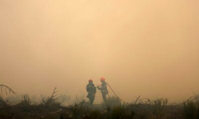 Quand les fumées des mégafeux rendent les pompiers malades