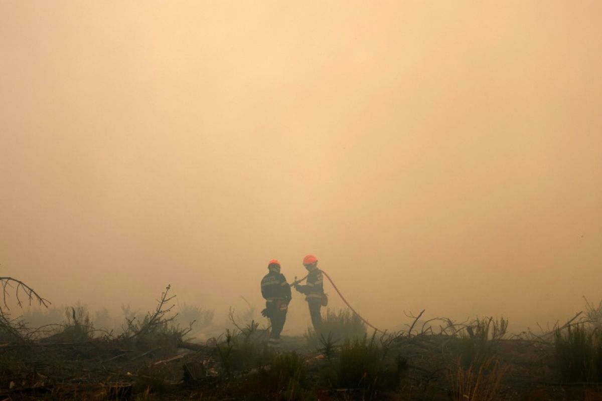 Quand les fumées des mégafeux rendent les pompiers malades