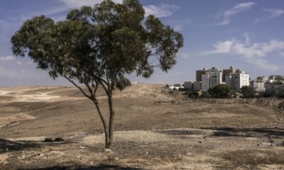 À Arad, laïcs et ultra-orthodoxes se disputent l'avenir d'Israël