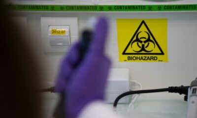 Le virus Shamonda atteint l’humain pour la première fois