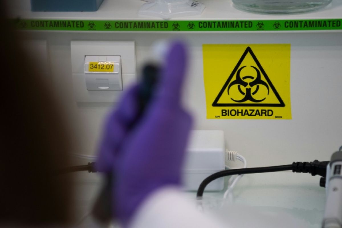 Le virus Shamonda atteint l’humain pour la première fois