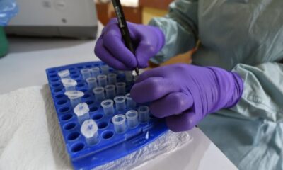Le Nigeria confirme un cas d’Ebola et identifie 44 personnes contacts