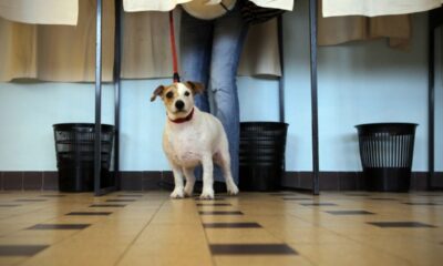 La cause animale s'invite dans la présidentielle