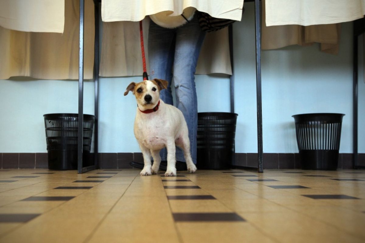 La cause animale s'invite dans la présidentielle