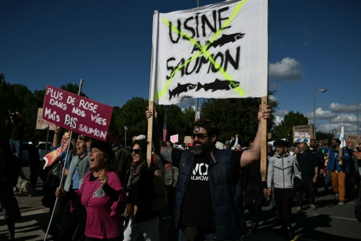 Au Verdon-sur-Mer, une foule déterminée contre la ferme à saumons
