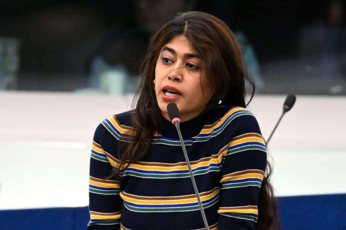 Drapeaux renversés au Parlement européen, Rima Hassan visée par une procédure