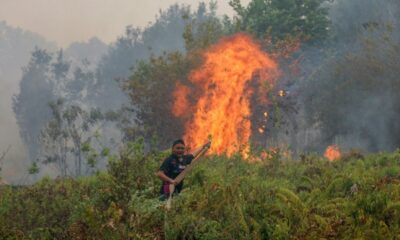 L'Indonésie serre le robinet du gaz vers Singapour