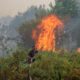 L'Indonésie serre le robinet du gaz vers Singapour