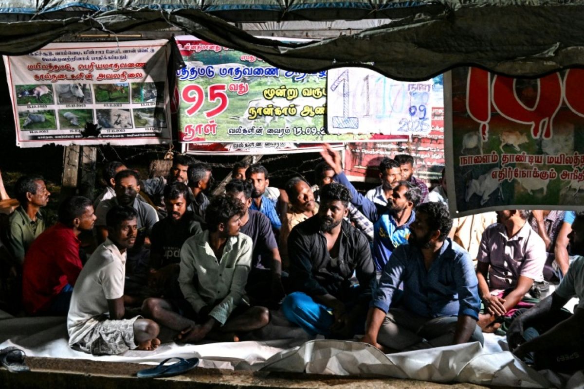 Sri Lanka, des éleveurs tamouls campent depuis trois ans pour leurs terres