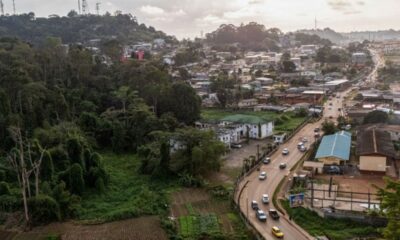 Au Gabon, une forêt immense garde encore des plantes que personne n'a nommées