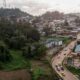 Au Gabon, une forêt immense garde encore des plantes que personne n'a nommées