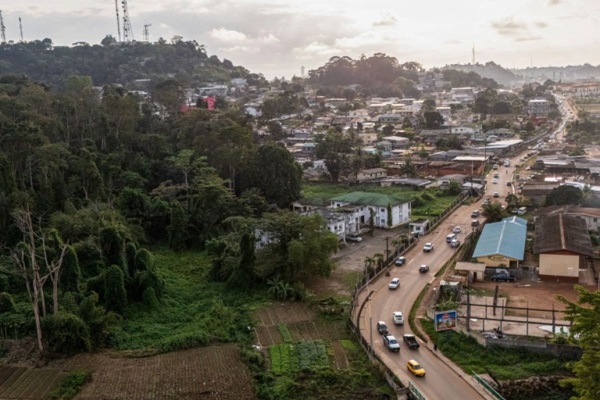 Au Gabon, une forêt immense garde encore des plantes que personne n'a nommées