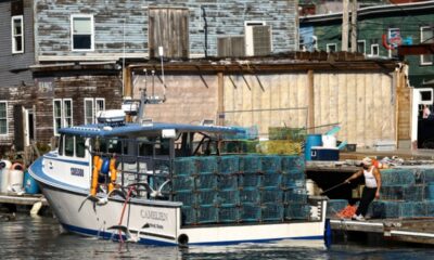 Dans le Maine, le homard rapporte moins que la facture de gazole