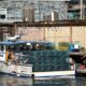 Dans le Maine, le homard rapporte moins que la facture de gazole