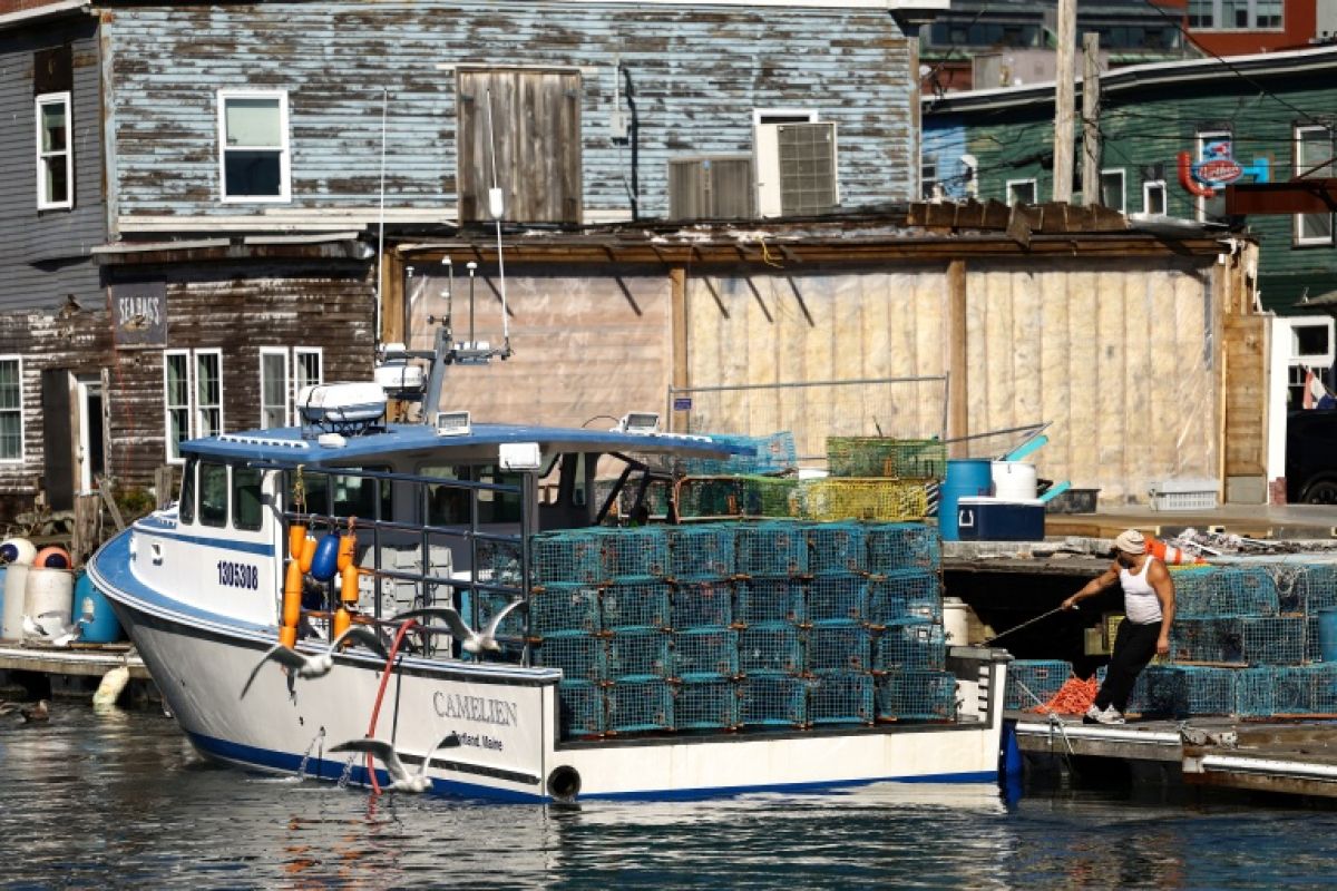 Dans le Maine, le homard rapporte moins que la facture de gazole