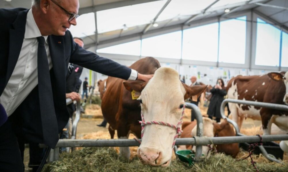 Après Marine Le Pen, Édouard Philippe dénonce un programme agricole dangereux