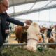 Après Marine Le Pen, Édouard Philippe dénonce un programme agricole dangereux