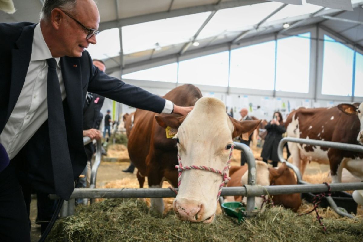 Après Marine Le Pen, Édouard Philippe dénonce un programme agricole dangereux
