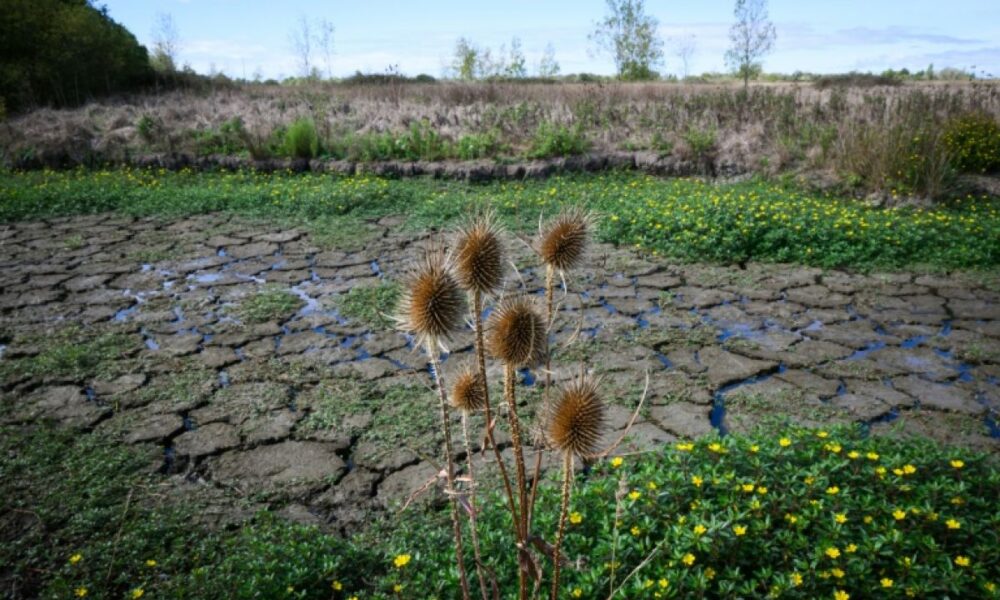 La France a soif et ses nappes phréatiques ne se remplissent toujours pas