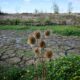La France a soif et ses nappes phréatiques ne se remplissent toujours pas