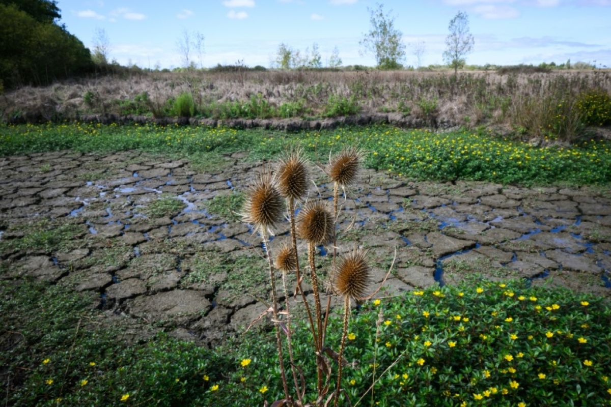 La France a soif et ses nappes phréatiques ne se remplissent toujours pas
