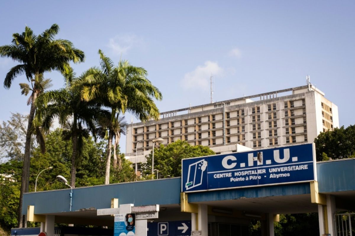 Un rat dans les couloirs du bloc, une vingtaine d'agents du CHU de Guadeloupe cessent le travail