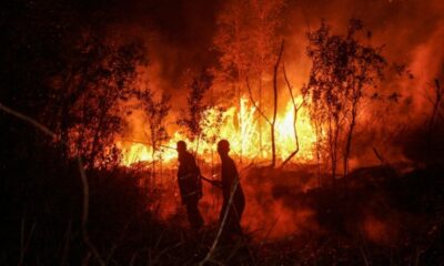 L'Indonésie brûle, l'Asie du Sud-Est suffoque et Singapour sort les griffes