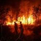 L'Indonésie brûle, l'Asie du Sud-Est suffoque et Singapour sort les griffes