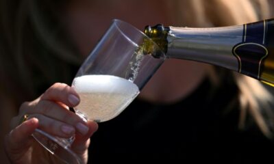 Des champagnes à 15 degrés, une première autorisée après la canicule