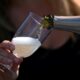 Des champagnes à 15 degrés, une première autorisée après la canicule