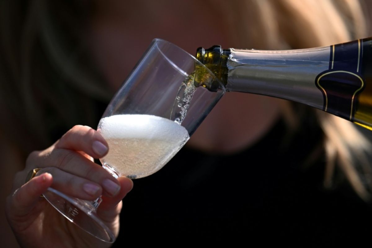 Des champagnes à 15 degrés, une première autorisée après la canicule