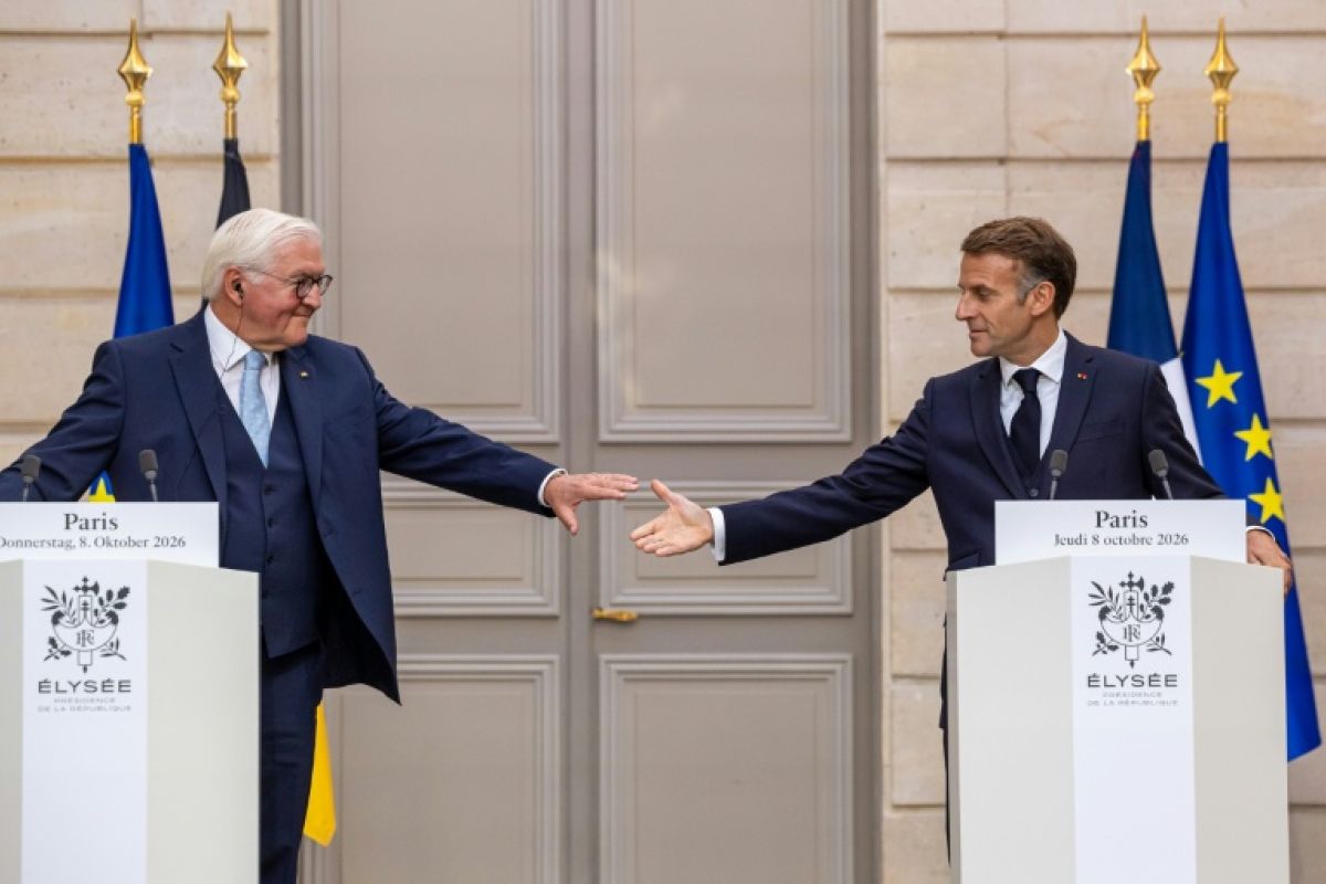 Steinmeier promet à la France une Allemagne fidèle à l'Europe