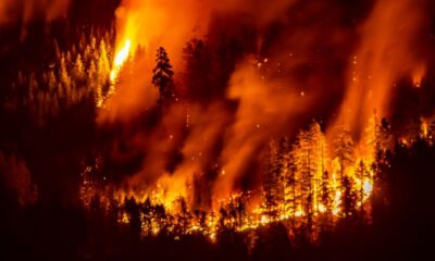 Ils ont entre 17 et 24 ans et ils attaquent l'État canadien pour son inaction climatique