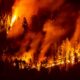 Ils ont entre 17 et 24 ans et ils attaquent l'État canadien pour son inaction climatique