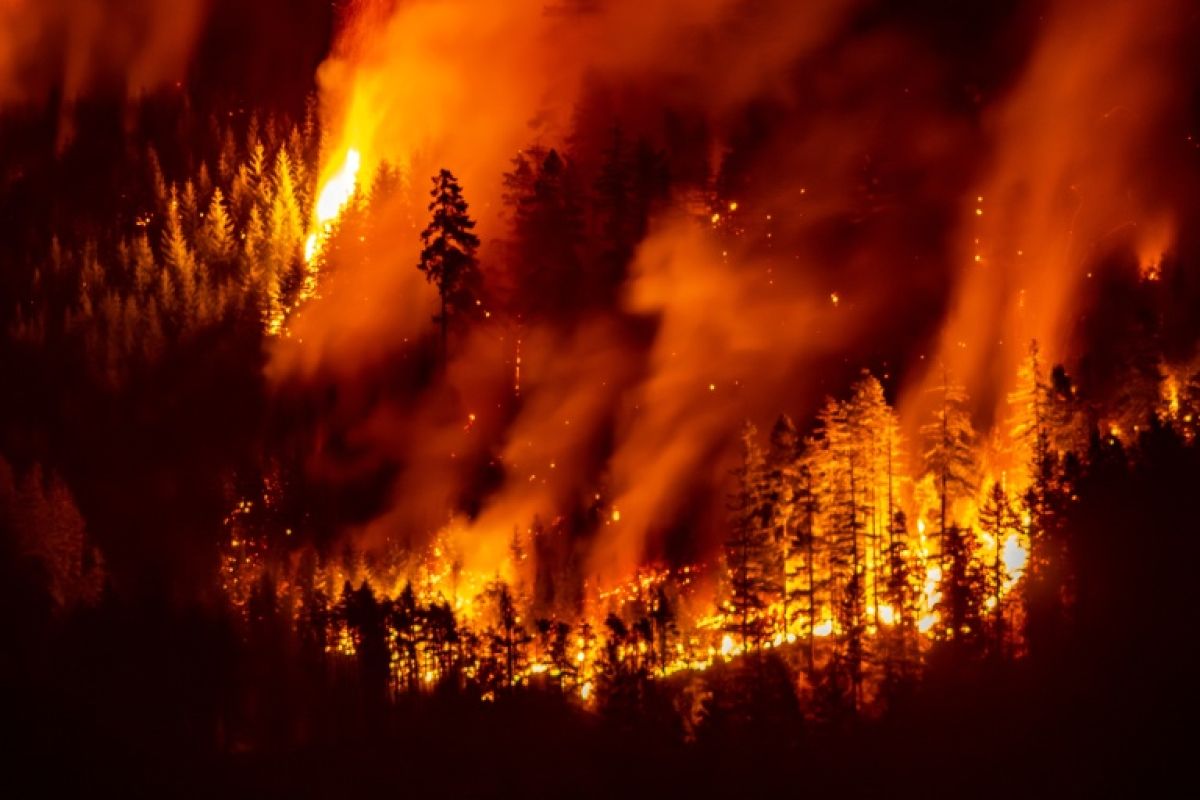 Ils ont entre 17 et 24 ans et ils attaquent l'État canadien pour son inaction climatique