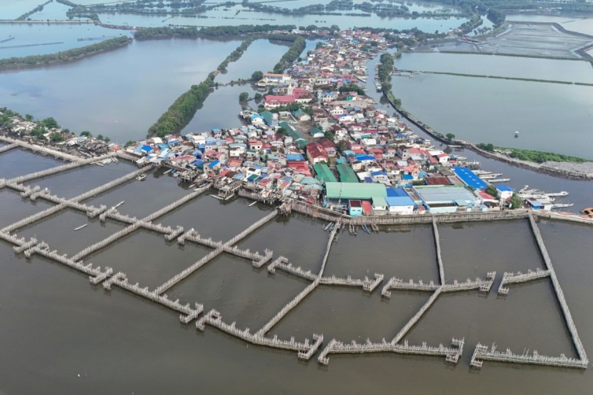Pamarawan troque le béton contre le bambou pour tenir tête à la mer