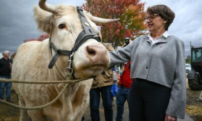 Sanitaire animal, le partage des rôles passe mal chez certains éleveurs