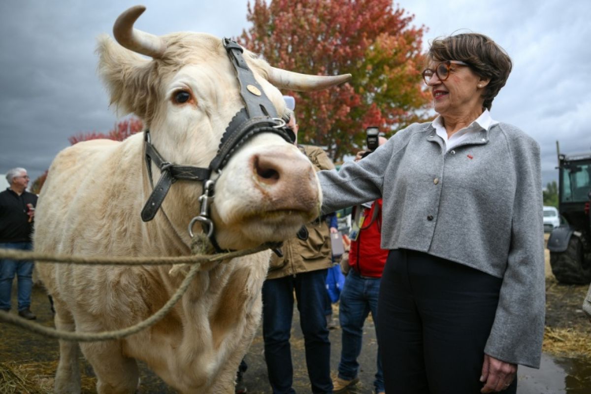 Sanitaire animal, le partage des rôles passe mal chez certains éleveurs