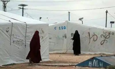 Le camp de Roj, dernier bastion kurde où vivent encore 2 200 proches de jihadistes